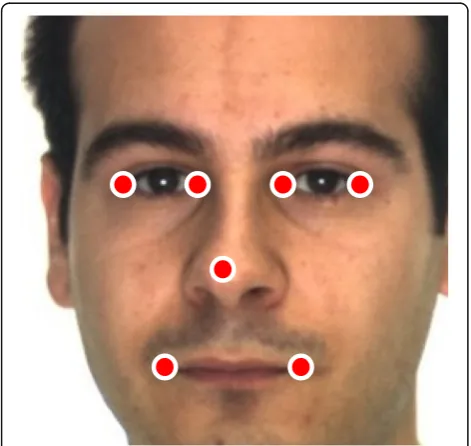 Fig. 7 Facial image with a seven landmarks retrieved by the facealignment method and b three fitting (HE, HM, and VN) linesobtained by the least square method