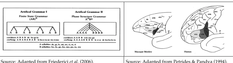 Figure 1:  A difference in the kind of structures generated by Finite State Grammars vs