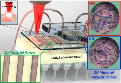 Figure   1:      A   future   device   based   on   a   CMOS   photonic   circuit   coupled   to   a   microfluidic   layer   integrating   dynamically   reconfigurable      2D   material   metastructures,   with   in-­‐situ   mic