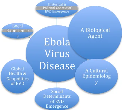Fig. 2.1 Interdisciplinary perspectives and concepts around Ebola Virus Disease 