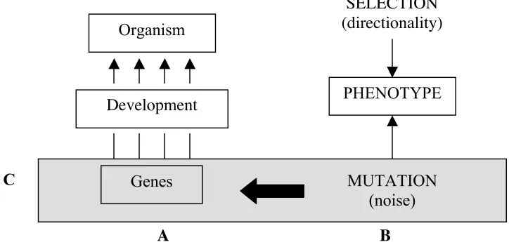 Figure 1:  Modern Evolutionary Synthesis. 