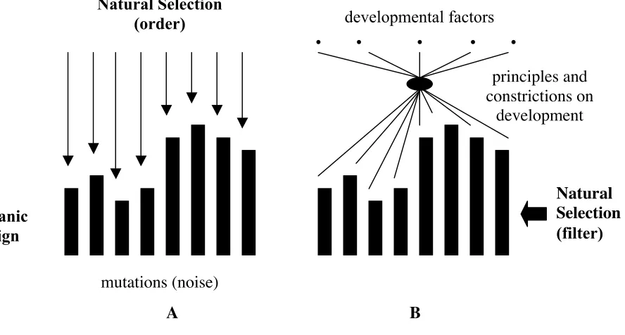Fig. 3:  Two views on Natural Selection.  