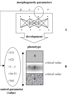 Fig. 4:  Dynamism and complexity of organic development 
