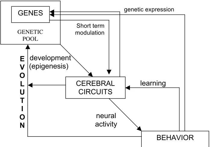 Figure 10:  Evolution and behavior 