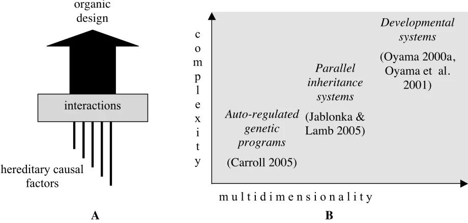 Figure 2:  Evolutionary Developmental Biology (Evo–Devo) 
