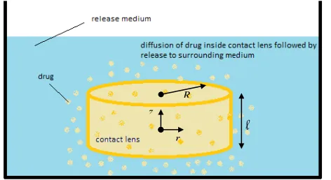 Fig. 1 Sketch of a contact lens with drug incorporated as an example of an ocular delivery device
