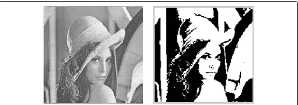 Fig. 2 Grayscale processing of the original picture
