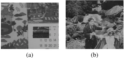 Figure 4: Videos used in the test. (a) is a simple video where the camera motion is known,and the dark rectangle is the only (outlier) object that moves differently from the background.(b) is a shot from an old ﬁlm where several artifacts occur (blotch, ﬂicker, sporadic and severevertical displacement, etc).