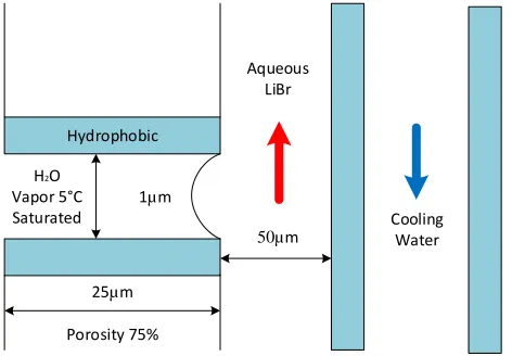 Fig. 2. The simulation domain is enclosed in a rectangular box with xyz dimensions of 100