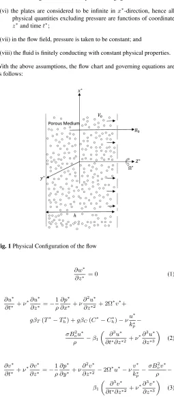 Fig. 1 Physical Conﬁguration of the ﬂow