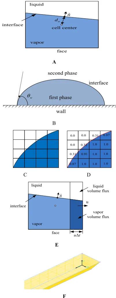 Fig. 4 A. Two-phase cell with an embedded phase interface. B.  Measuring the contact angle near the wall (FLUENT, 2005)