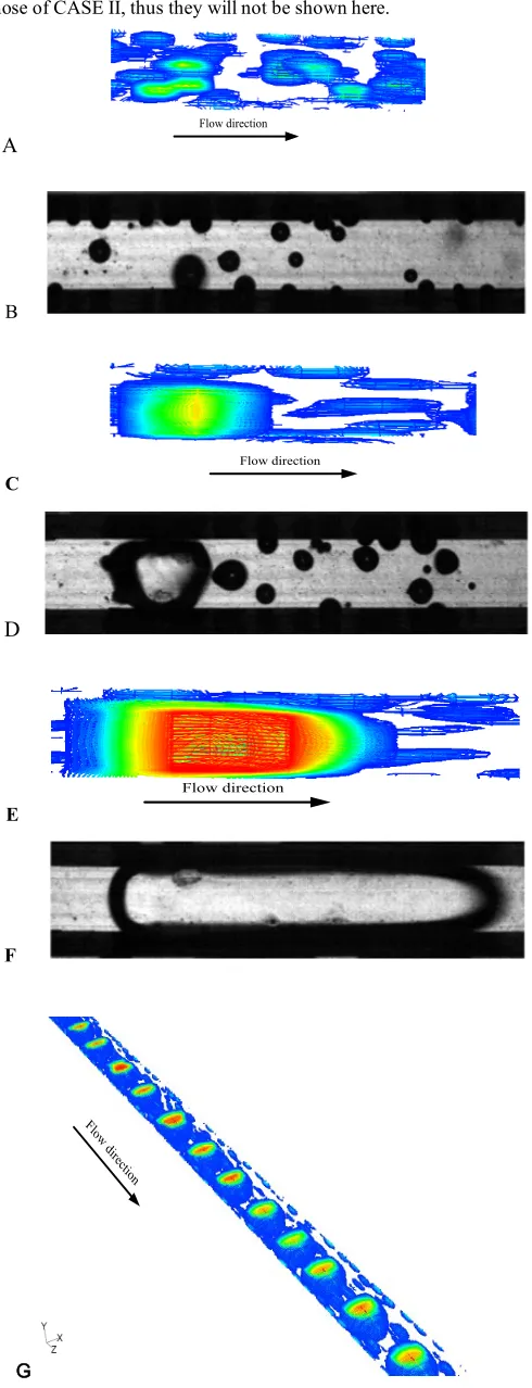 Fig. 6 Flow patterns in the middle of the trapezoidal microchannel for         
