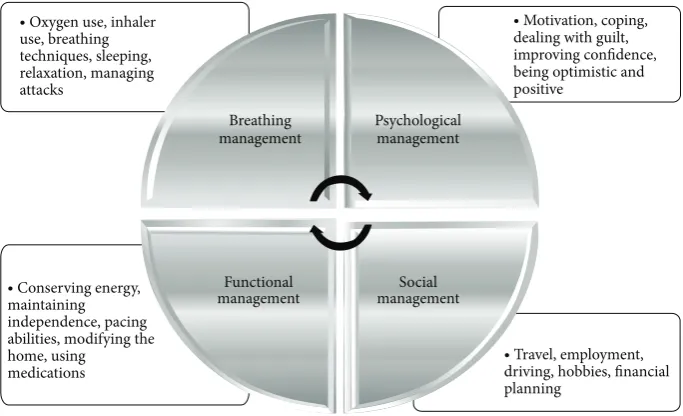 Table 2: Six core categories and subthemes.