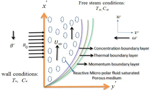 Fig. 1: Physical model and coordinate system 