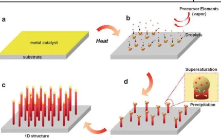 Figure 1.2 Schematic illustration of the VLS process. First a thin film of the seed material is deposited on the substrate, as shown in a