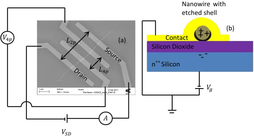 Figure 2.1 Schematic diagram of nanowire field effect transistor (a) shows a scanning electron microscope image of a 4-point nanowire device