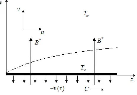 Fig. 1 Physical model and the coordinate system. 