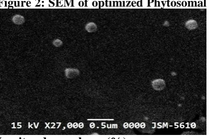 Figure 2: SEM of optimized Phytosomal formulation   