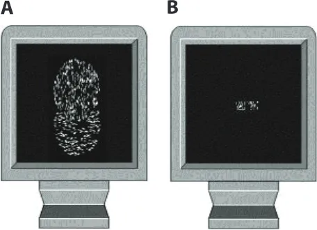 figure 2. presenting. (A) The VhD is capable of presenting an entire visual stimulus while the haptic stimulus is also presented, or (B) a small visual “window” which is spatially correlated with the position of An example of the visual stimuli the VhD is capable of the VhD carriage can be presented.