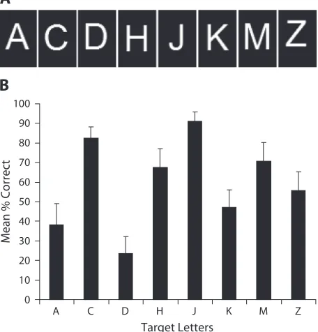 figure 4. (A) A visual depiction of the eight letters used in the 