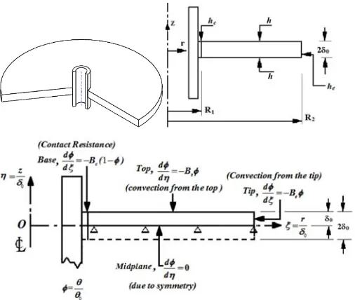 Fig. 1 Sectional isometric view, half sectional front view and boundary conditions of orthotropic annular fin  