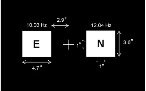 Fig. 1.The visual display used in all experimental sessions, containingbilateral ﬂicker stimuli with sequence of letters superimposed.