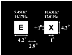 Fig. 1.Stimulus display.