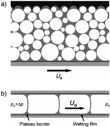 FIG. 1. Sketch of two typical experiments to study wall slip of a liquidfoam.pushed through a narrow channel at velocity �a� Foam is sheared in a rheometer between a smooth and a roughplate moving at relative velocity U0