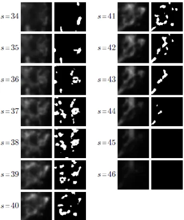 Figure 9. Results of Sample 3. This sample also shows that the proposed model can detect in-focus features while theout-of-focus features are also presented