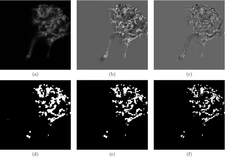 Figure 6. Illustration of the Laplacian process by slice. (a) is an image slice of the original image stack in Fig.1