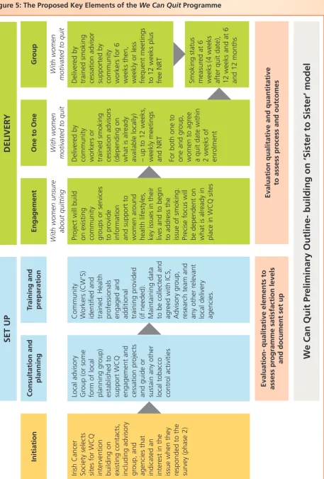 Figure 5: The Proposed Key Elements of the We Can Quit Programme
