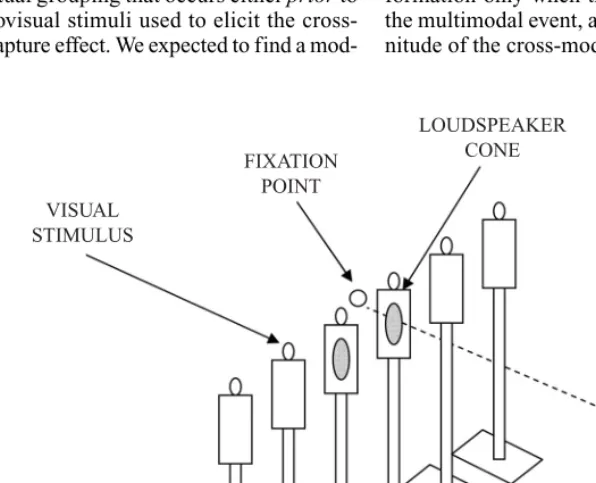 Figure 1. Schematic illustration of the setup used in the experiments reported in thepresent study.