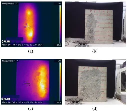 Fig. 16 Pictures of the surface ablation and temperature of the surfacerecorded with a thermo camera