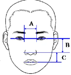 Fig. 2. Structural position value of facial feature points. 