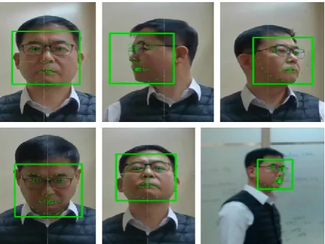 Fig. 10. Tracking in video. 