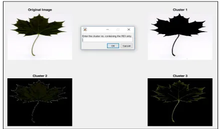Fig. 3. Segmentation performed by K-means clustering. 