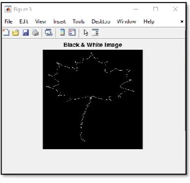 Figure 3 illustrates an example of the segmentation performed in our system. Out of the three images generated, the selected image is then converted to gray-scale and binary 