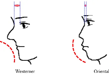 Fig. 1. Long-head and Short-head. 