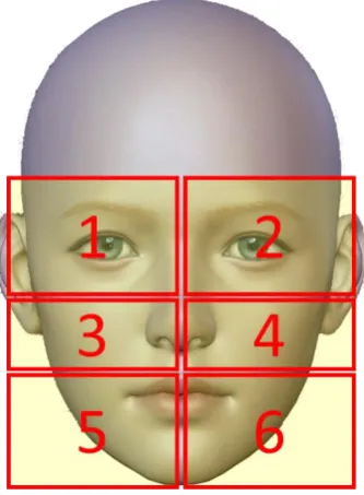 Fig. 3. Six zones division on the face. 