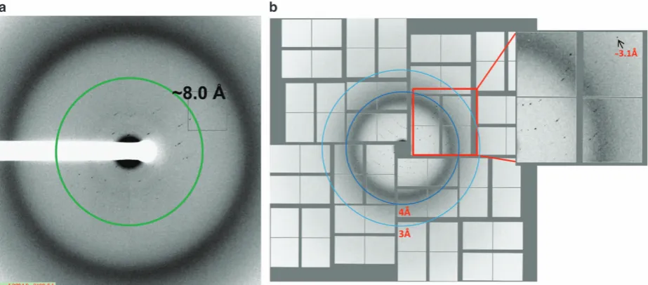 Table 1. Diffraction data collection and processing.Materials of the original paper This table was adopted from the Supplementary9 with addition of the statistics of the synchrotron data collected at X10SAbeamline of the Swiss Light Source