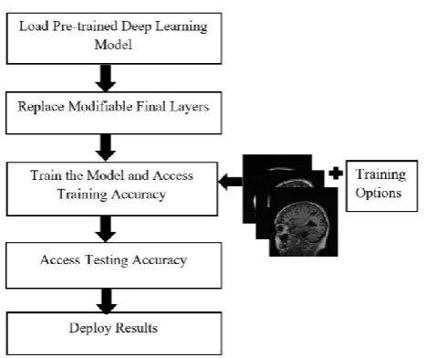 Fig. 1. Architectural representation of transfer learning approach.  