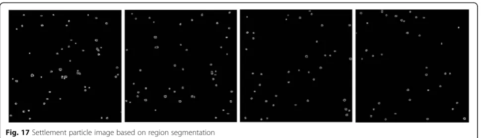 Fig. 17 Settlement particle image based on region segmentation