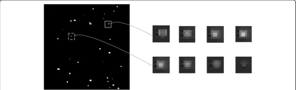 Fig. 2 Grayscale change of particles in the different frames