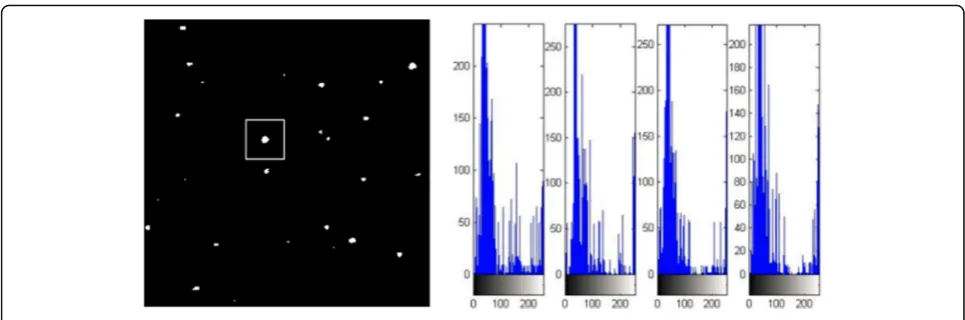 Fig. 3 Settlement particles with little change in grayscale