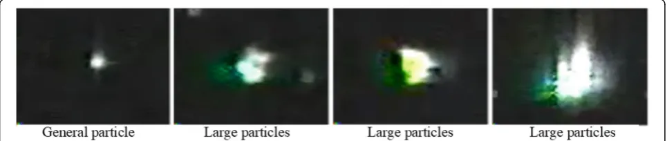 Fig. 5 Different shape of settlement particles