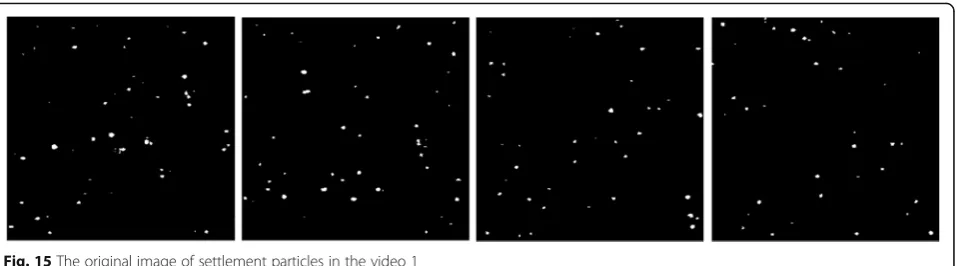 Fig. 15 The original image of settlement particles in the video 1