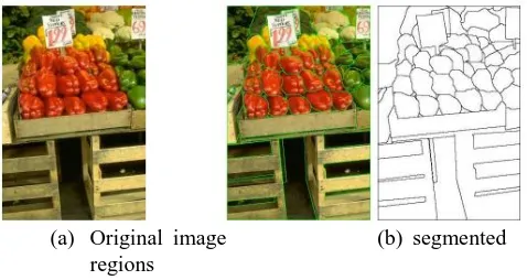 Fig.8. An example of image region segmentation.  