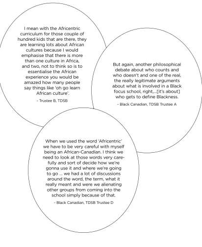 Figure 1: Problems of recognition – Trustee views on Afrocentricity