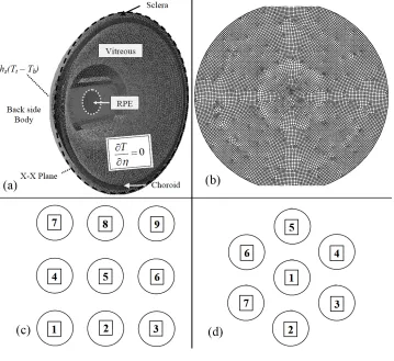 Fig. 2 (a) Three-dimensional computational domain truncated at X-X section of Fig. 1 (b) grid structure at RPE plane (c) square array of 3 × 3 spotsmarked with sequence of heating(d) circular array with seven sequential heating spots