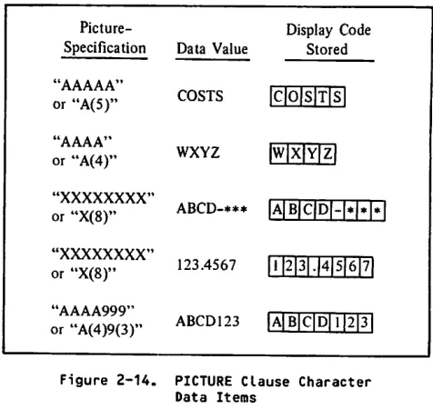 Figure 2-14. PICTURE Clause Character